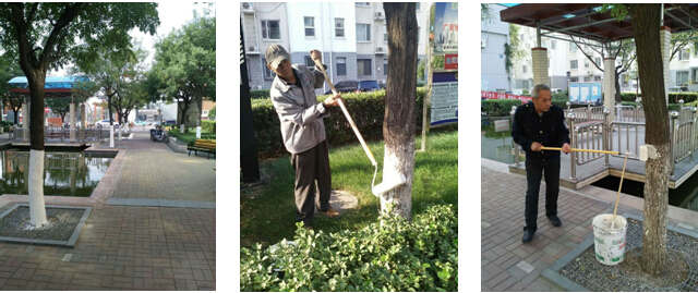 1484555795544794.jpg 2016101152864189.jpg