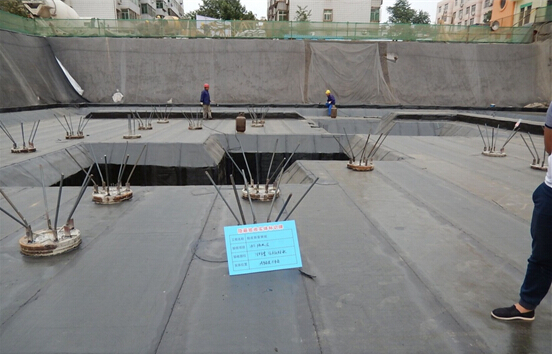 1491806729165986.jpg 質量篇3.jpg