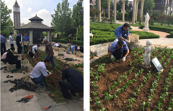 1492159122917818.jpg 合1.jpg