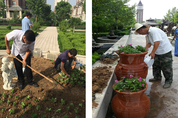 1492159131936056.jpg 合2.jpg