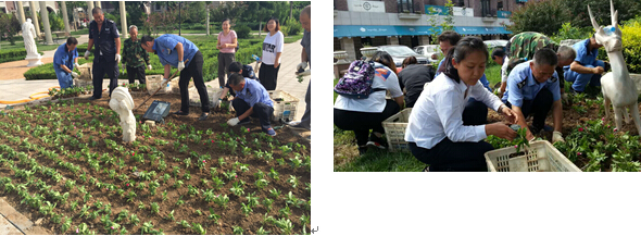 1492159141663185.jpg 合3.jpg