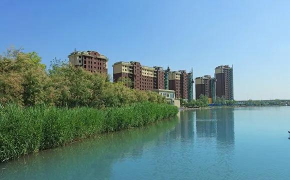 1587724759524848.jpg 5.jpg