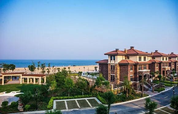 1587724781980079.jpg 6.jpg